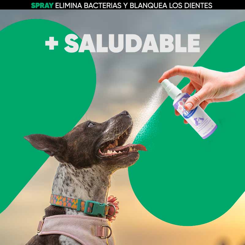 Pulverizador Bucal para Cuidado de Mascota