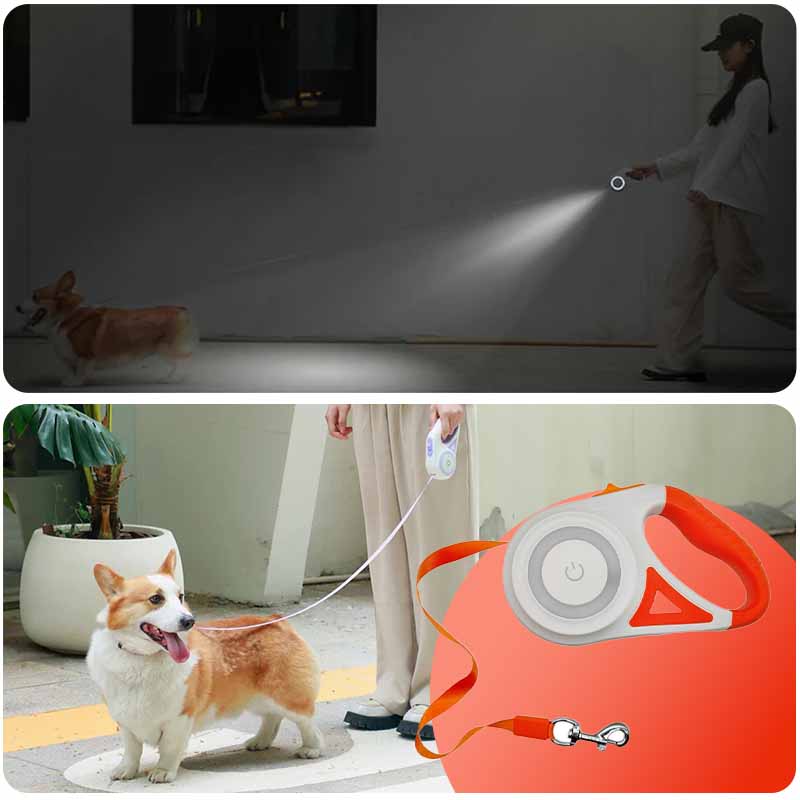 Correa Extensible con Luz 5mts Hasta 40Kilos